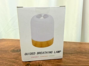 TranquilGlow geführte Atemlampe graues Finish brandneu im Karton Meditation - Bild 1 von 5