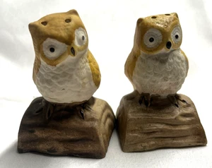 Shaker sale e pepe gufo - Foto 1 di 4