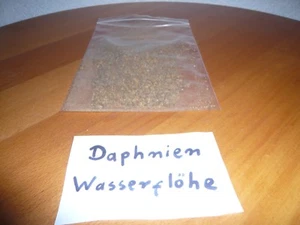 100 ml Daphnien Wasserflöhe Fischfutter , Futter für Reptilien   (29,90€/L) - Bild 1 von 1