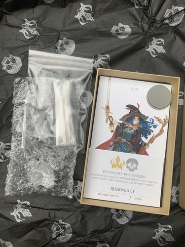 Miniatura Kingdom Death Questing Lucy Scala 30mm - Non Assemblata E Non Dipinta (WH541)