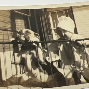 1920s BULLDOG and BABY peeking over Crib Gate vintage Snapshot Photo Outdoors - Picture 1 of 10