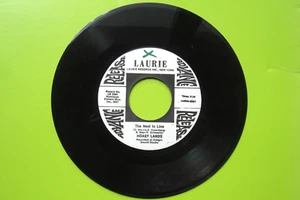 HOAGY LANDS * The Next In Line * 7” 45 LAURIE - Picture 1 of 5