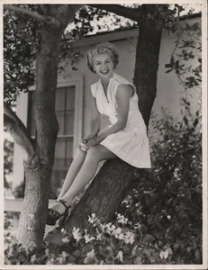 LANA TURNER - SOMEWHERE I'LL FIND YOU - 1942 - N & B-TBE - 25,5 x 33 CM - Foto 1 di 2