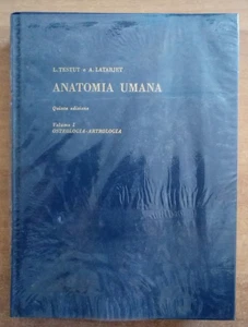 Anatomia umana vol 1. AA.vv. Unione tipografica Torinese, 1977 - Foto 1 di 1