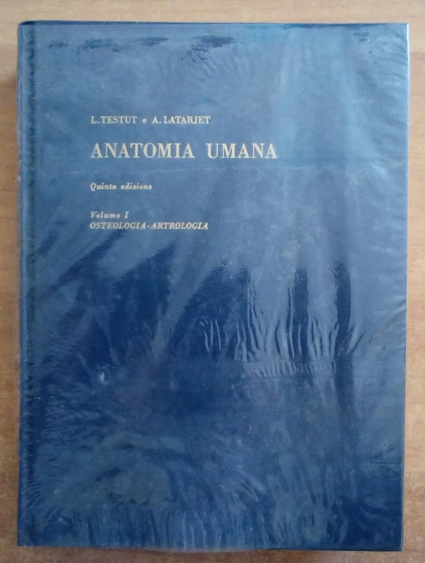 Anatomia umana vol 1. AA.vv. Unione tipografica Torinese, 1977 - Immagine 1 di 1