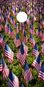 Premium Cornhole Board Wrap - CALCOMANÍA DE VINILO - Patriótico - Día de la Bandera - Bandera Americana - Imagen 1 de 3