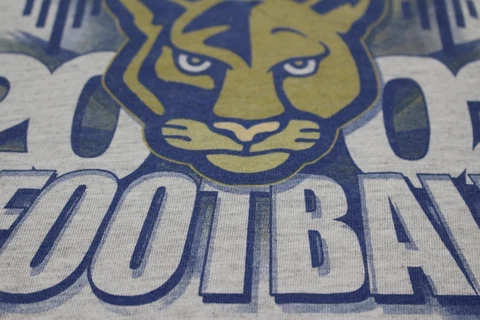 Miami Florida International University FIU Golden Panthers Football Shirt 2002 L Cover