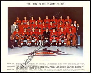 1972 - 73 Los Angeles Sharks Color Team Photo Bild 8 x 10 Foto Bild - Bild 1 von 1