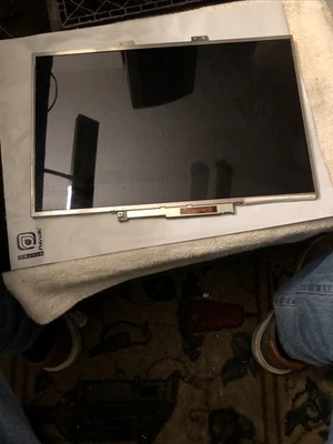 PANTALLA DELL INSPIRON E1505 LTN154X3-L09 15.4 WXGA EN EXCELENTE ESTADO  Foto 1 de 4