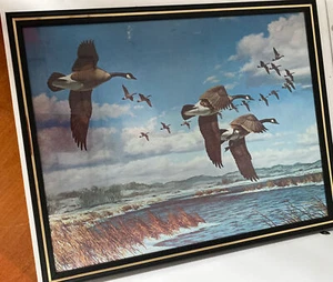 David Massa Last of the Season Geese print 14”x11” - Picture 1 of 3