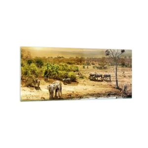 Wandbilder 120x50cm Glasbild Safari Tiere Groß Bilder Art Wanddeko - Bild 1 von 10