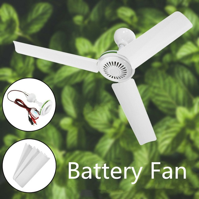 12 Volt Rv Ceiling Fan With Light Shelly Lighting