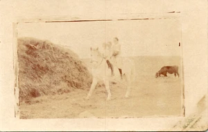 rppc vtg two children & father on horse. hay cow postcard - Picture 1 of 2