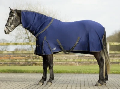 QHP Quick Dry Cooler mit Halsteil, schnelltrocknende Abschwitzdecke, blau 135 cm - Bild 1 von 4