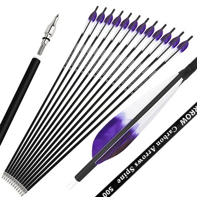 28" 30" 31" Carbon Arrows SP500 100gr Screw Archery Compound Recurve Bow Hunting - Image 1 of 4