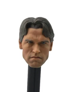 Cabeza esculpida personalizada 1/6 T800 Arnold Schwarzzenegger para Hot Toys Phicen COO Body - Imagen 1 de 8