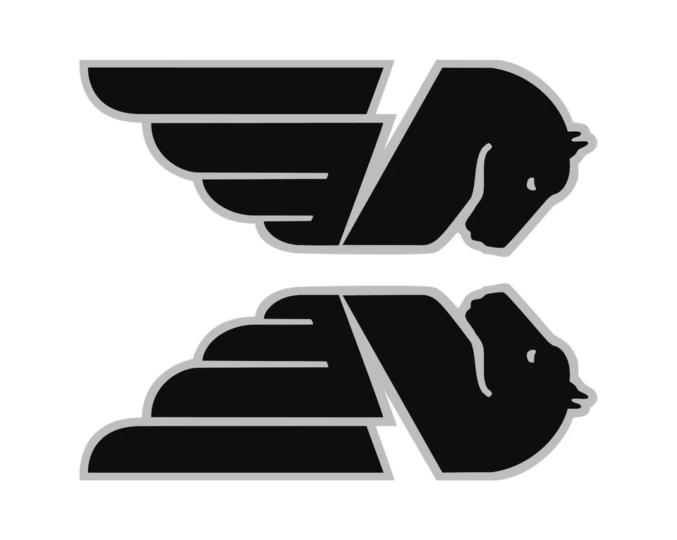 Calcomanías de 2 colores Buell Pegasus. Negro/Plateado. 1 par. O elige tu color. Foto 1 de 1