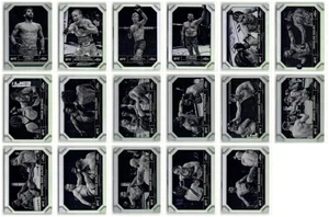 Alexander Volkov Raquel Pennington 2024 Topps Chrome UFC Negative 17 Karten - Bild 1 von 2