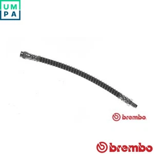 BRAKE HOSE T 56 146 FOR RENAULT TRAFIC/III/Van/Platform/Chassis/Bus OPEL 4cyl - Picture 1 of 8