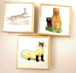 Ampersand Press~Ferret~Grizzly Bear~Jackrabbit~RARE~HTF~3 Animal Rubber Stamps - Picture 1 of 14