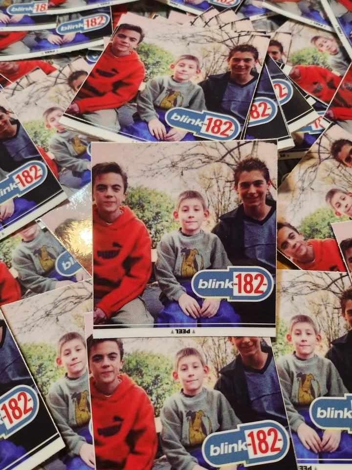 Malcolm In The Middle Blink 182 Stickers Waterproof UV Resistant Sticker Meme - Image 1 of 1