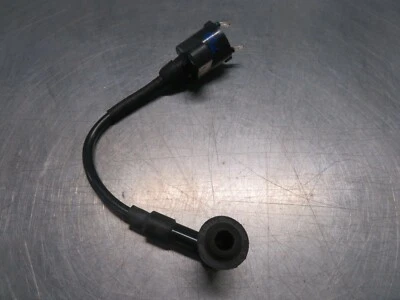 EB753 2005 05 HONDA RUCKUS 50CC BOBINA DE ENCENDIDO Foto 1 de 4