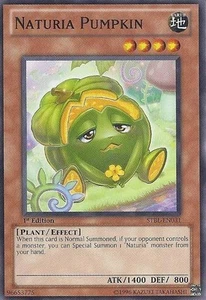 Naturia Pumpkin - STBL-EN031 - Common - 1st Edition - Moderately Played - Picture 1 of 1