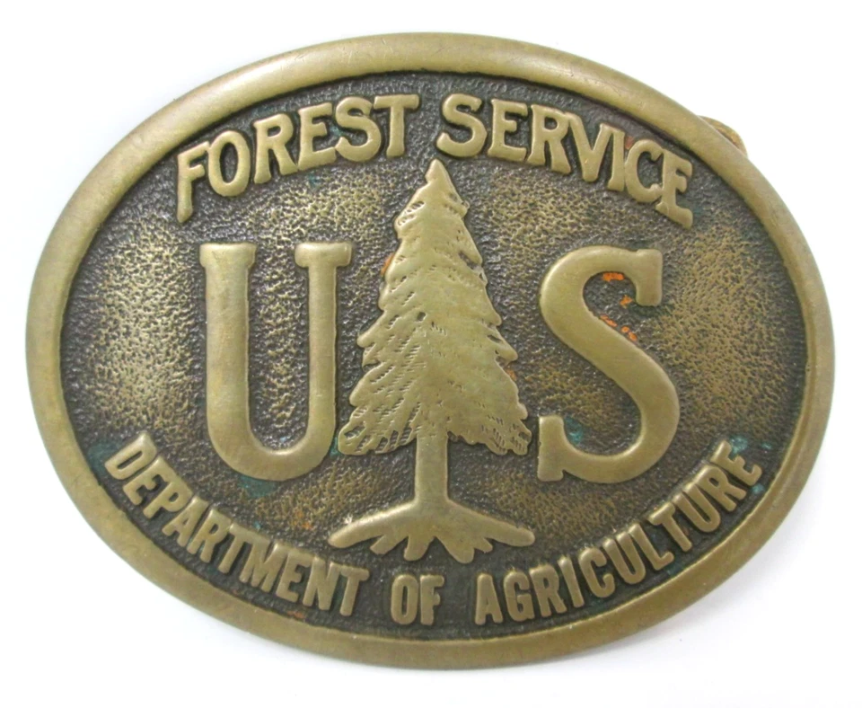 Fivela de cinto vintage do Serviço Florestal dos EUA Departamento de Agricultura bronze maciço década de 1980 - Imagem 1 de 4