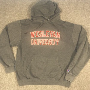 Wesleyan University champion pullover hoodie size LG gray with red Cold Nights! - Picture 1 of 6