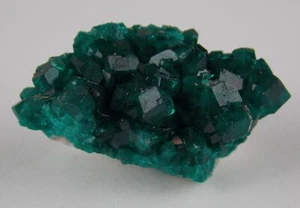 EXCELENTES CRISTALES DIOPTASA - 2,7 cm - MINA TSUMEB, NAMIBIA 29330 - Imagen 1 de 7