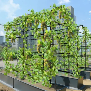 220cm Tall Garden Trellis Cucumber Climbing Plant Support Stand w/ Ground Spikes - Picture 1 of 14