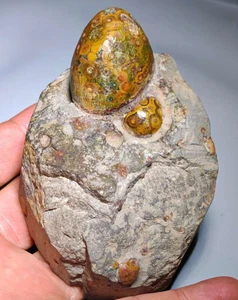 Natürlicher Mongolei Gobi Achat raues Auge Achat Stein Sammlung Präparat 298G - Bild 1 von 4