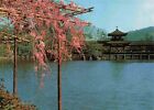 Garden Of Heian Jingsu Shrine Kyoto Japan Japanese Postcard Vtg #20