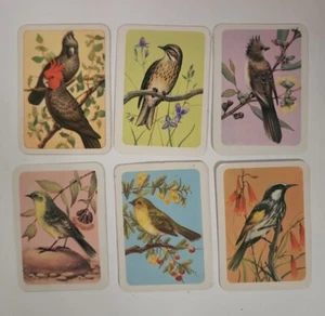 Tarjetas de estudio de aves australianas 110,216,272,276,277,278 - lote 607 - Imagen 1 de 2