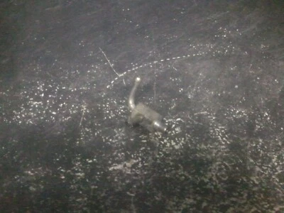 04-08 Arctic Cat Turbo Boost Manifold # 3006-965 T660 ST Bearcat 660 - Image 1 of 2