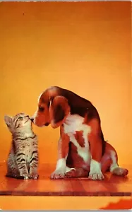 Kitten - with hound dog - Lovers - Friends Vintage Postcard PP1 - Picture 1 of 2
