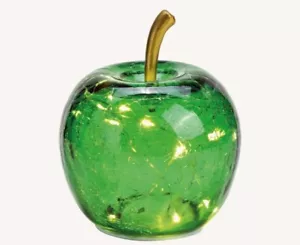 LED Deko Apfel dunkelgrün S Glas mit Licht 5er LED Timer Dekoapfel Lampe Leuchte - Bild 1 von 1