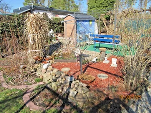Pachtgarten in Großräschen - Bild 1 von 13