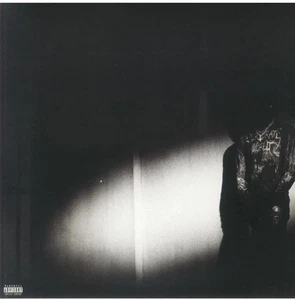 Destroy Lonely - No Stylist 12" Vinyl LP Music Album Record Explicit New Sealed - Picture 1 of 1