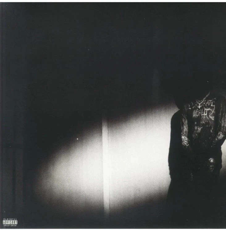 Destroy Lonely - No Stylist 12" Vinyl LP Music Album Record Explicit New Sealed - Image 1 of 1