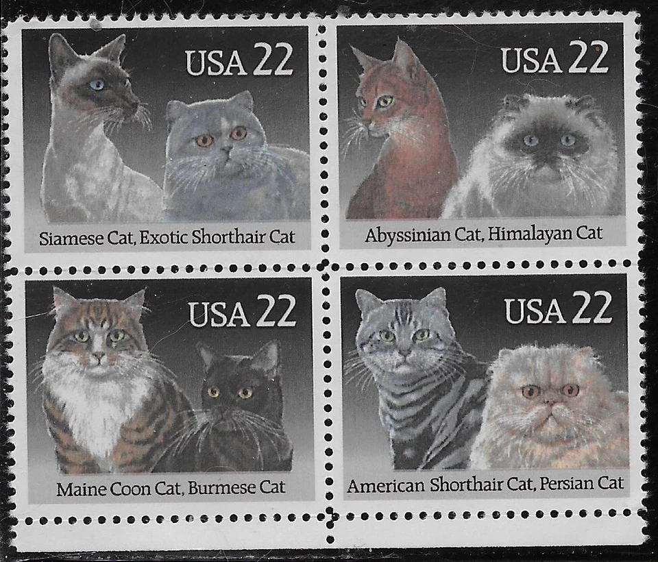 US Scott 2372-75, 1988, Cats, Block of 4, Mint, NH - Image 1 of 1
