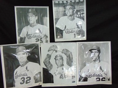 ST. LOUIS CARDINALS В РАМКЕ ИГРОКОВ НАБОР ИЗ 5 STEVE CARLTON, MIKE TORREZ - Изображение 1 из 4