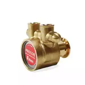 PROCON 114B240F11BA - 1/2" NPT Brass Rotary Vane Pump - Picture 1 of 2
