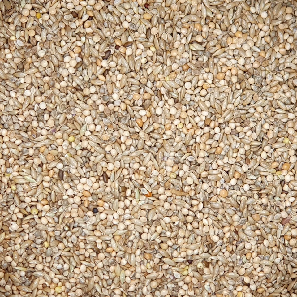 Gladen Wellensittichfutter 20kg - Bild 1 von 4