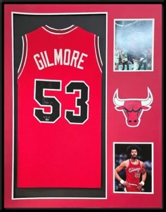 Framed Artis Gilmore Chicago Bulls Pro Style Custom Jersey LEAF Authenticated - Picture 1 of 2