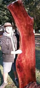 FINISHED Both Sides Fiddleback Red Robusta Eucalyptus Headboard Exotic Slab