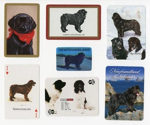 NEWFOUNDLAND COLLECTION OF SINGLE DOG COLLECTABLE PLAYING CARDS - Picture 1 of 1