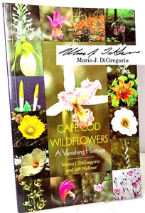 Cape Cod Wildflowers, SIGNED by Mario DiGregorio, 2003 - NEAR FINE - Picture 1 of 9
