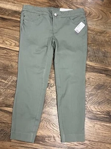 Christopher & Banks Ankle Straight Fit Mid-Rise Green Pants Size 6P New - Picture 1 of 12