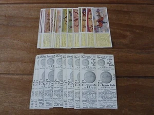 Typhoo Tea Horses Cards from 1934 - VGC! - Pick The Cards You Need! Tea Cards - Picture 1 of 13